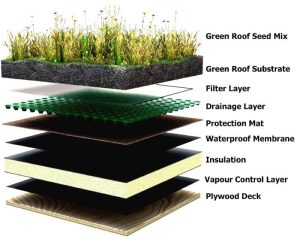 Roof green installation flat roofing superior touch get